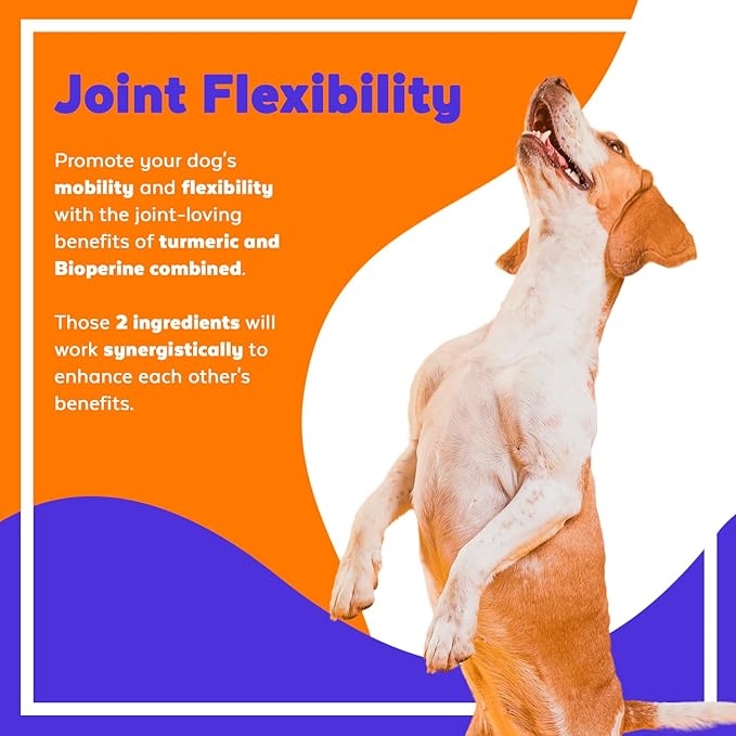 Turmeric for Dogs Anti Inflammatory - 120 Chewable Tablets