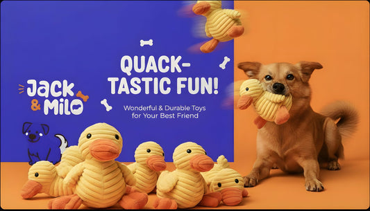 Jack & Milo Plush Dog Toy – Soft Corduroy Squeaky Chew Toy for Dogs, Duck Design