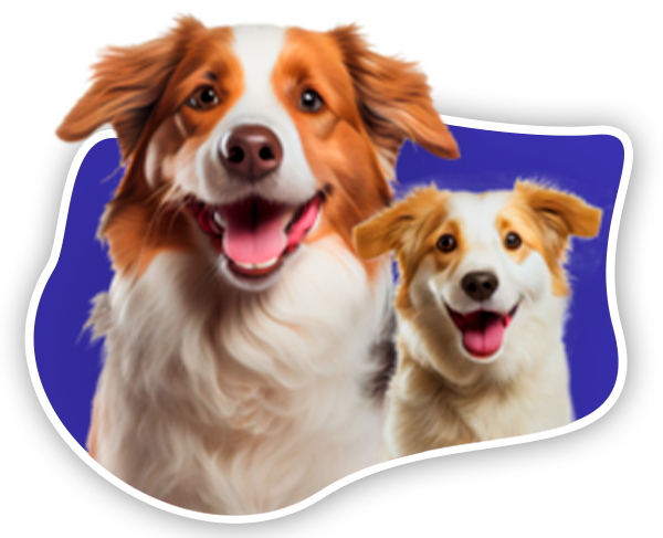 Banner_Foto_600x487_a9d9fd62-d865-4e3e-9672-5d078e9a7298 - Jack & Milo