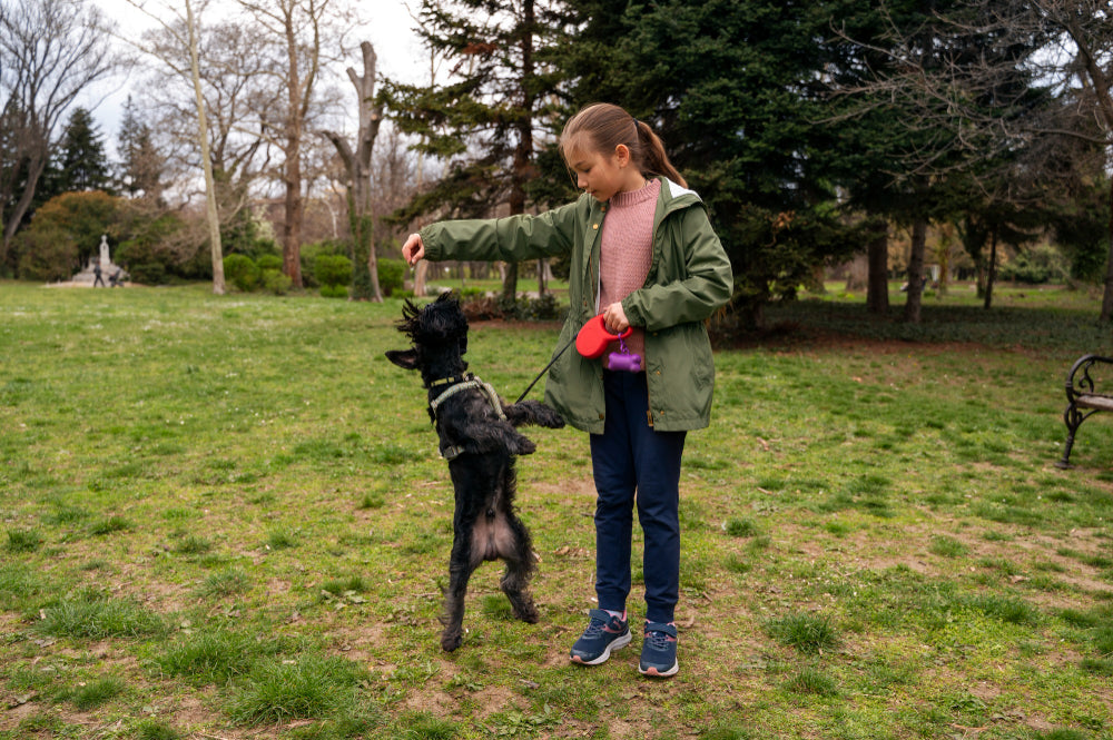 10 Fascinating Facts About Dogs You Didn't Know