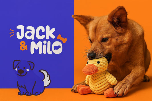 Jack & Milo Plush Dog Toy – Soft Corduroy Squeaky Chew Toy for Dogs, Duck Design