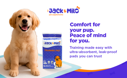Training mat - 40 units